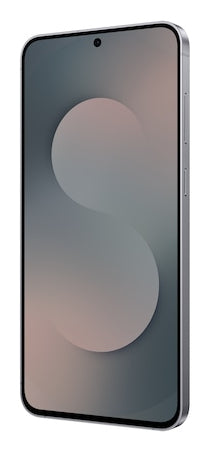 Samsung Samsung Galaxy S25 FE Enterprise Edition 17 cm (6.7") Double SIM Android 16.0 5G USB Type-C 8 Go 128 Go 4900 mAh Noir