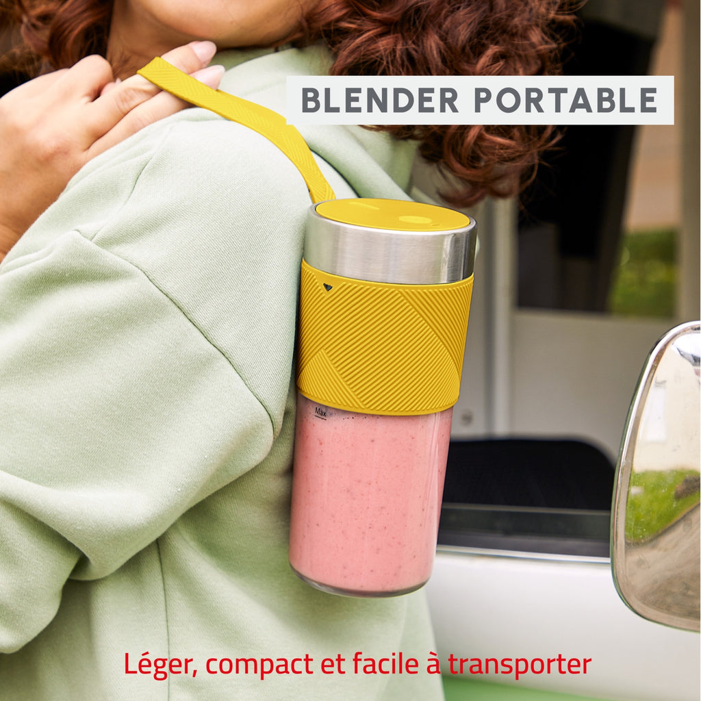 Moulinex Blender mini - LM1C0210