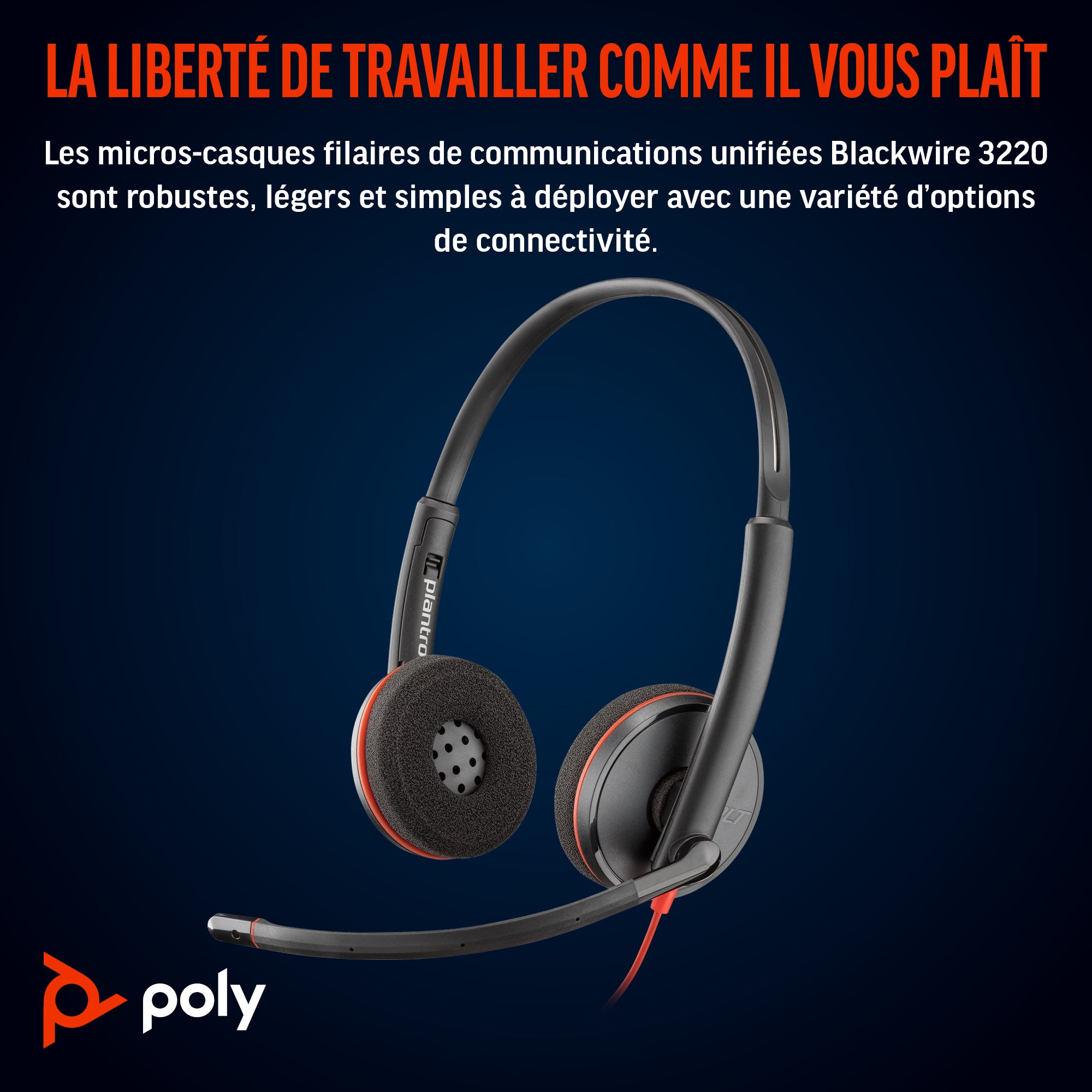 HP Poly Micro-casque stéréo USB-C Poly Blackwire 3220 + adaptateur USB-C/A (lot)