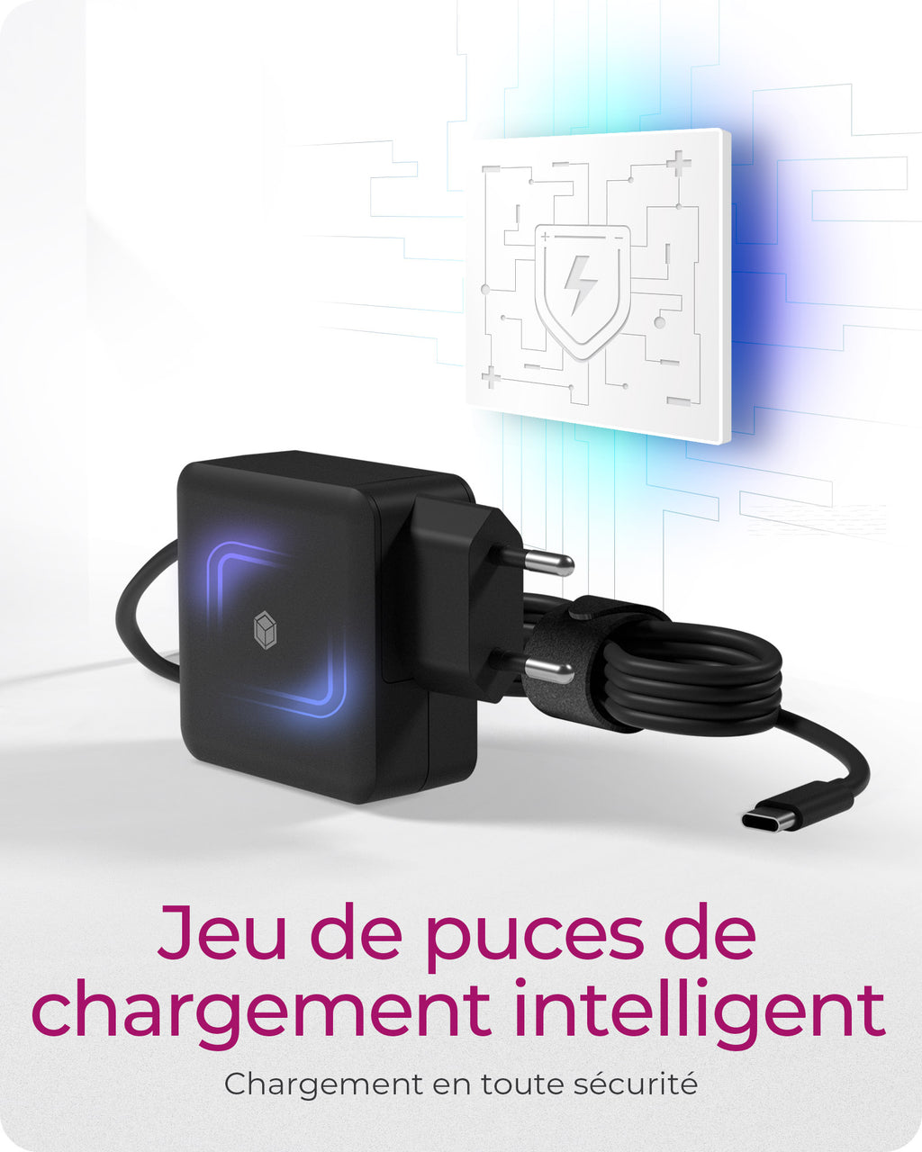 ICY BOX IB-PS111-PD Universel Noir Secteur Intérieure