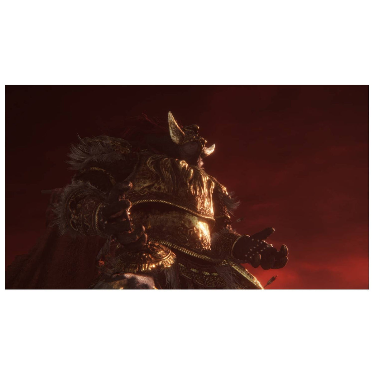 Bandai Namco Elden Ring Tarnished Edition Switch 2