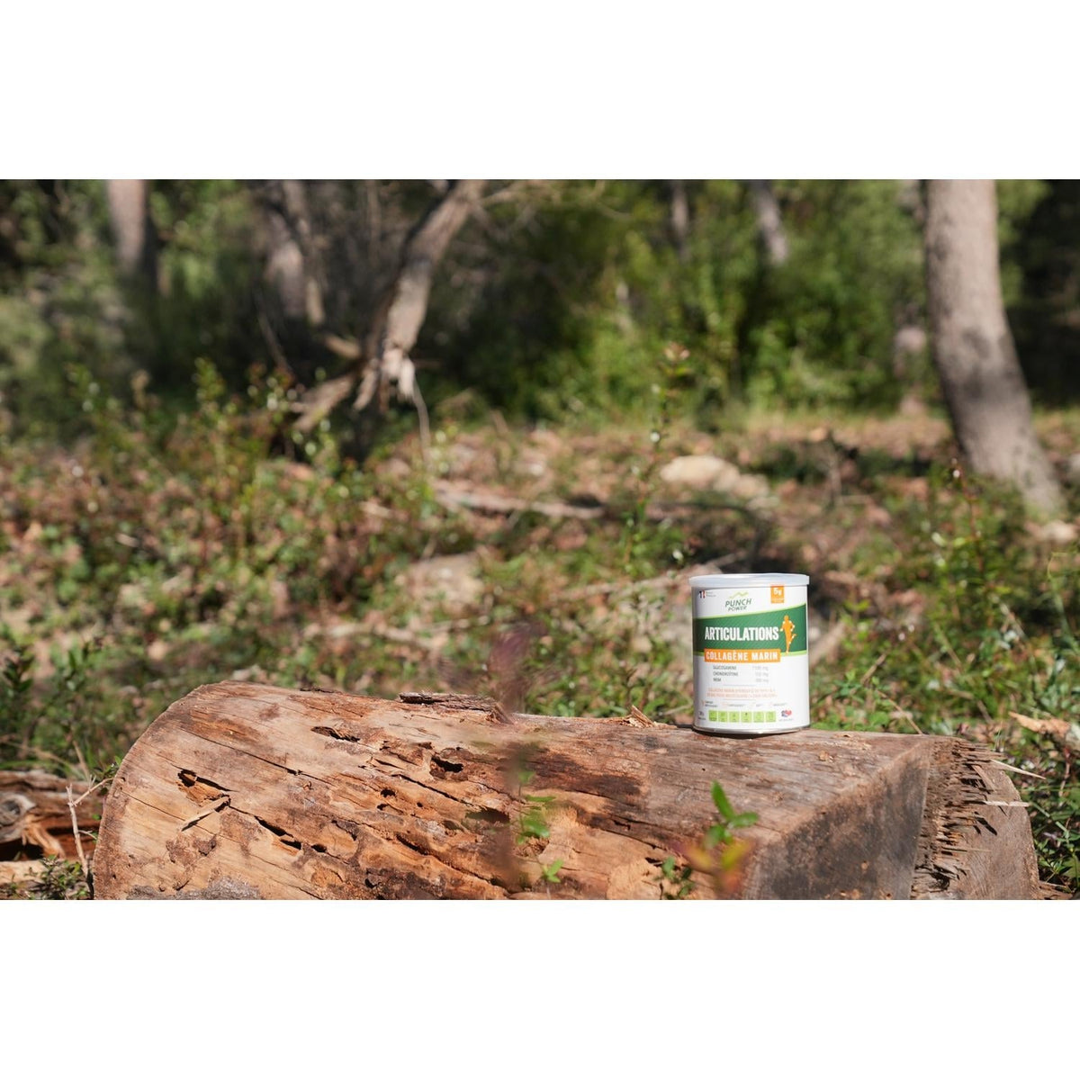 Punch Power Complément Alimentaire Articulaire Collagène Marin Poudre 280g