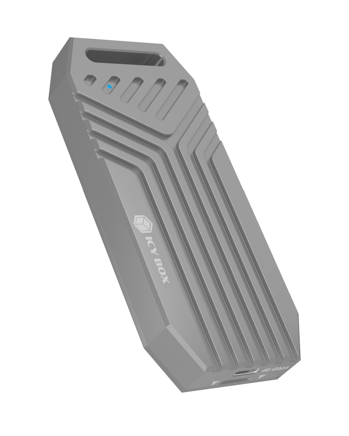 Boîtier SSD M.2 IB-1919M-C42 Argent, USB Type-C, 40 Gbit/s