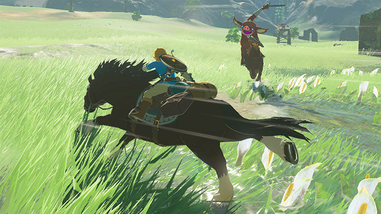 Nintendo The Legend of Zelda: Breath of the Wild, Switch Standard Nintendo Switch - vue 2