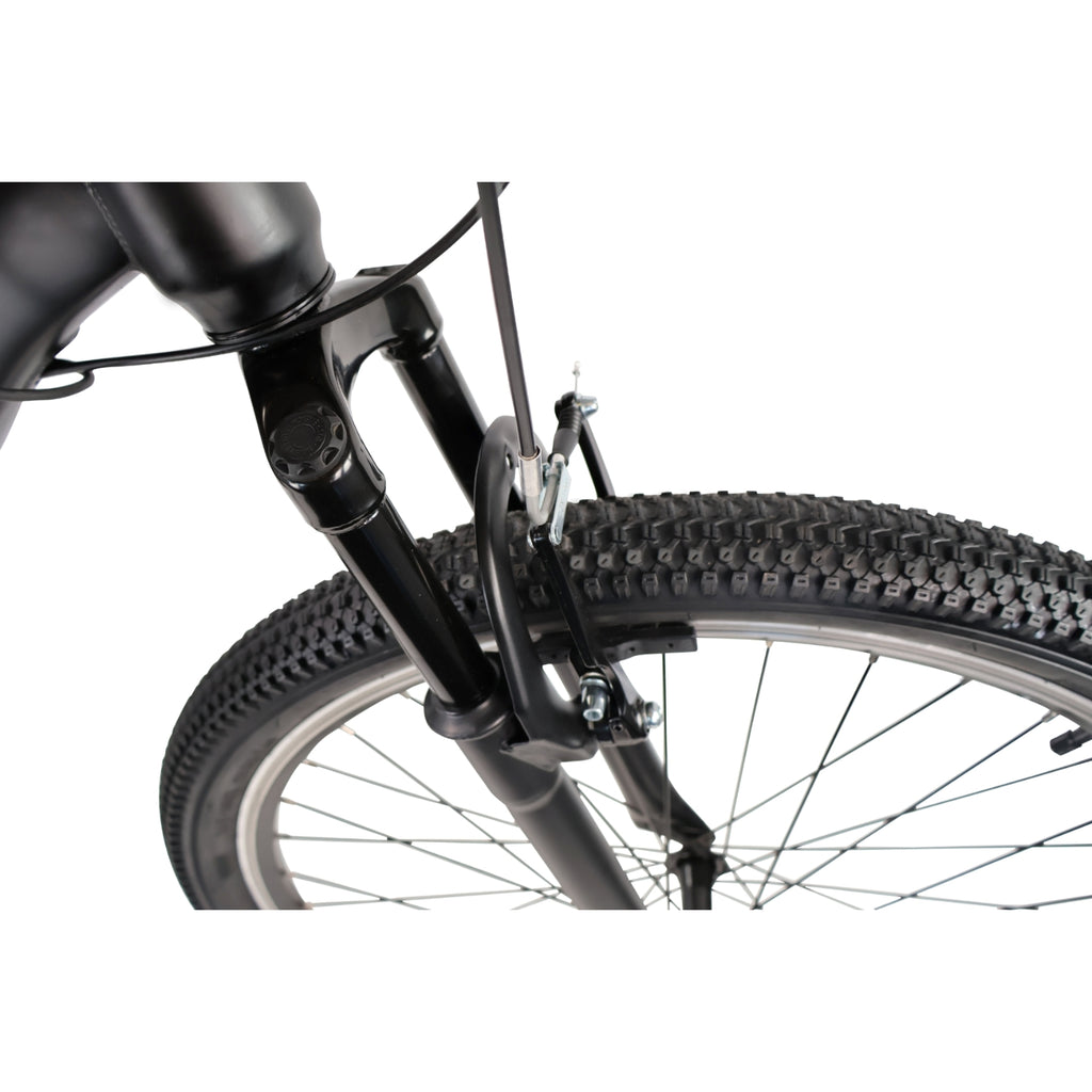 Toplife Vélo VTT à assistance électrique E-3300 V2