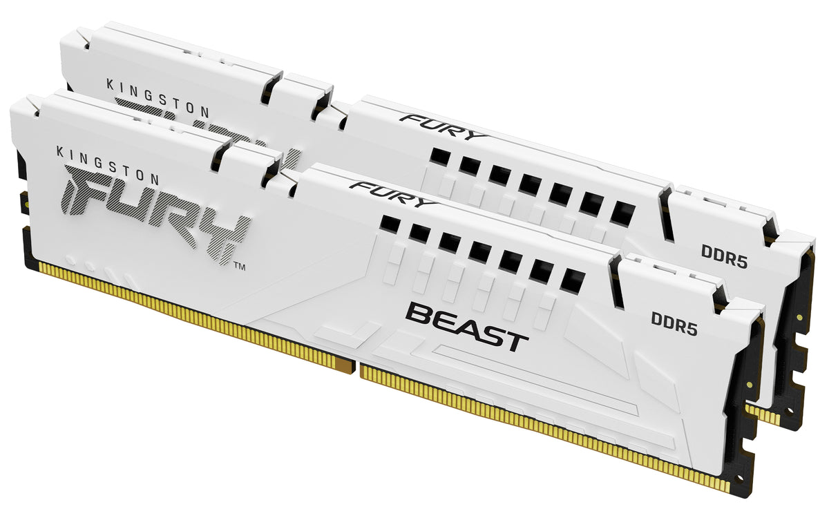Kingston Technology FURY Beast 32 Go 5600 MT/s DDR5 CL36 DIMM (Kit de 2) White EXPO