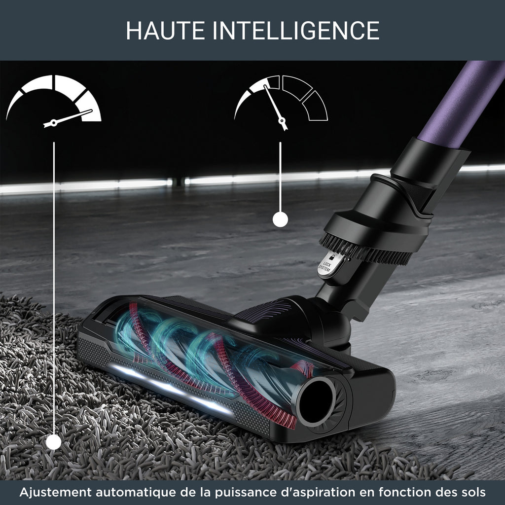 Rowenta Aspirateur balai X-Force Flex 9.60 YY5786FE