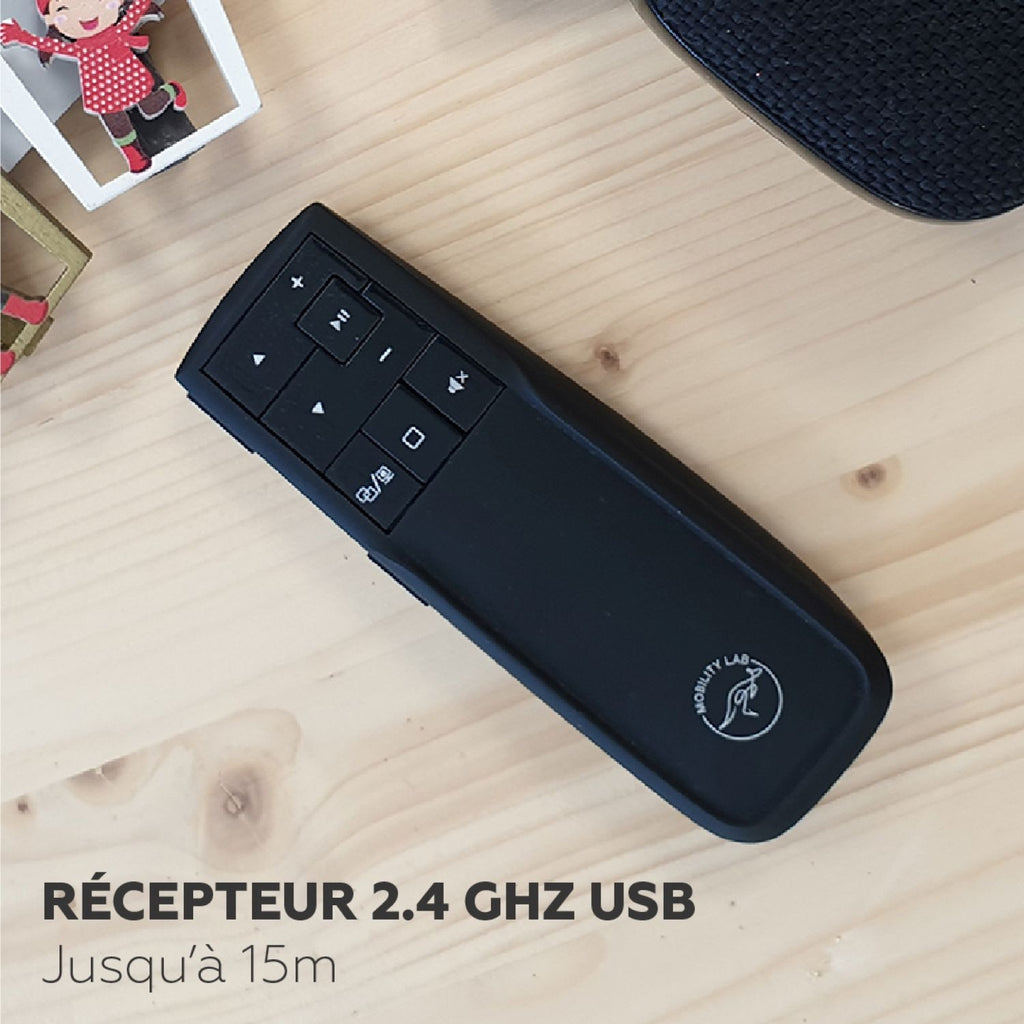 ML Présentateur sans fil - ML300924 - Noir