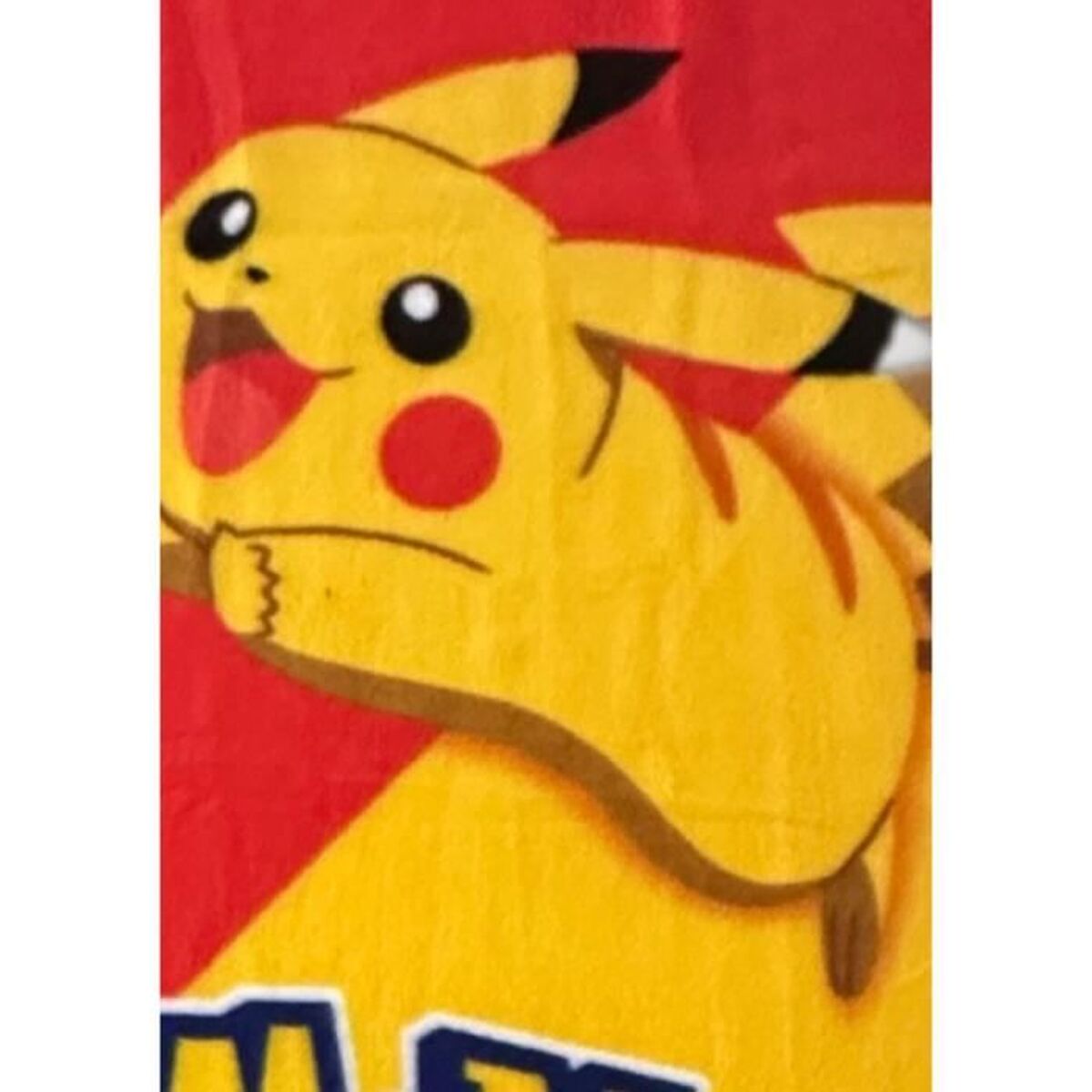 Blanket Pokémon Multicolour animals