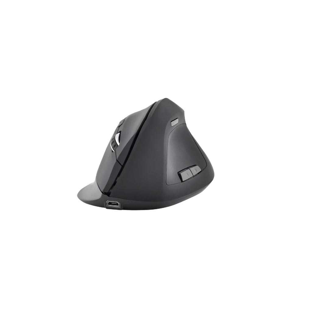 Bluestork Souris ergonomique sans fil Ergo WL