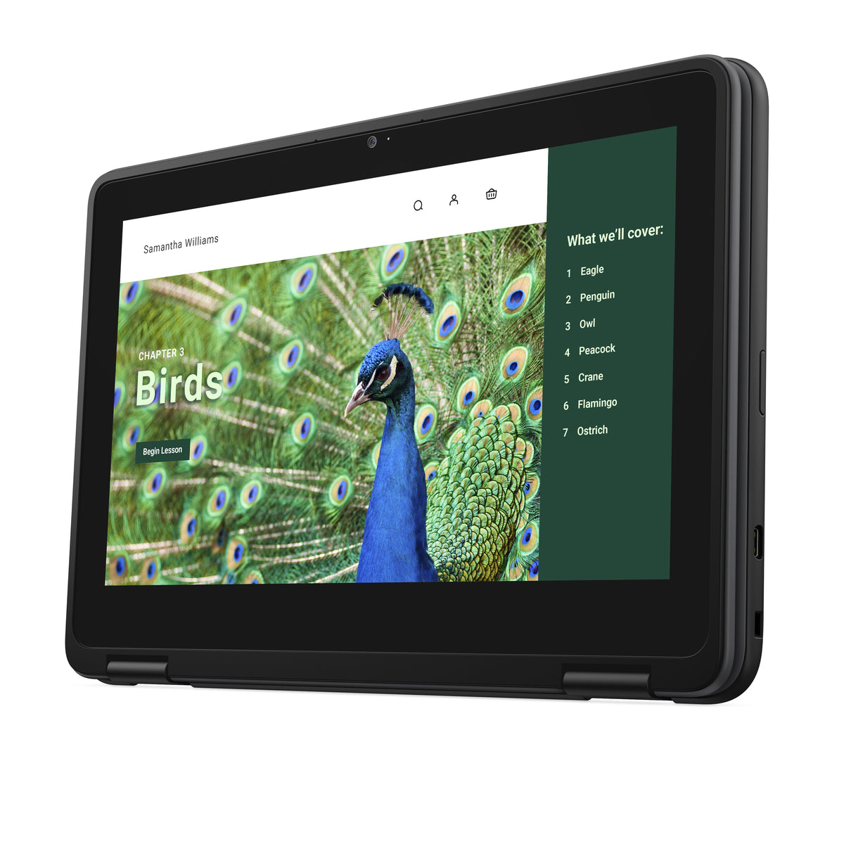 DELL Chromebook 3120 2-in-1, Intel N100, 11.6" Écran Tactile HD, 4 Go LPDDR5, 64 Go eMMC, Wi-Fi 6, ChromeOS, Noir