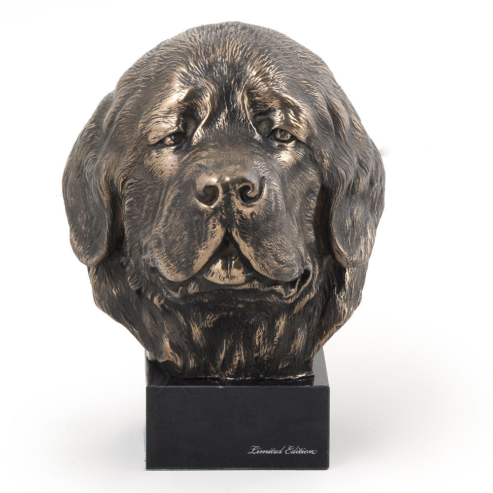 Newfoundland, Newfs, Newfies - Dog statue, bust on stone base, sculpture, trophy for dog show by Art-Dog brand