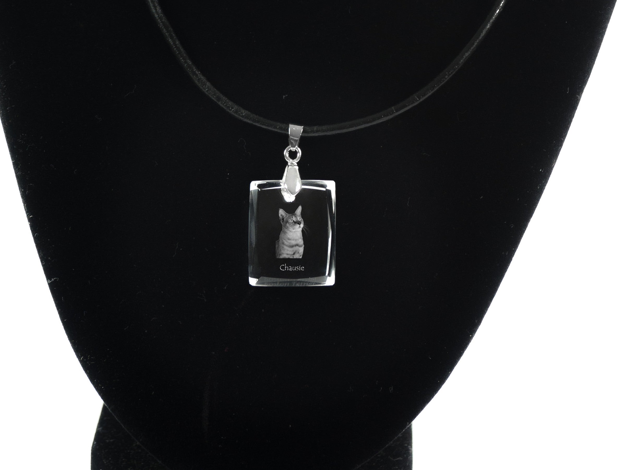 Chausie - Crystal cat pendant, photo necklace, unique jewellery by Art-Dog