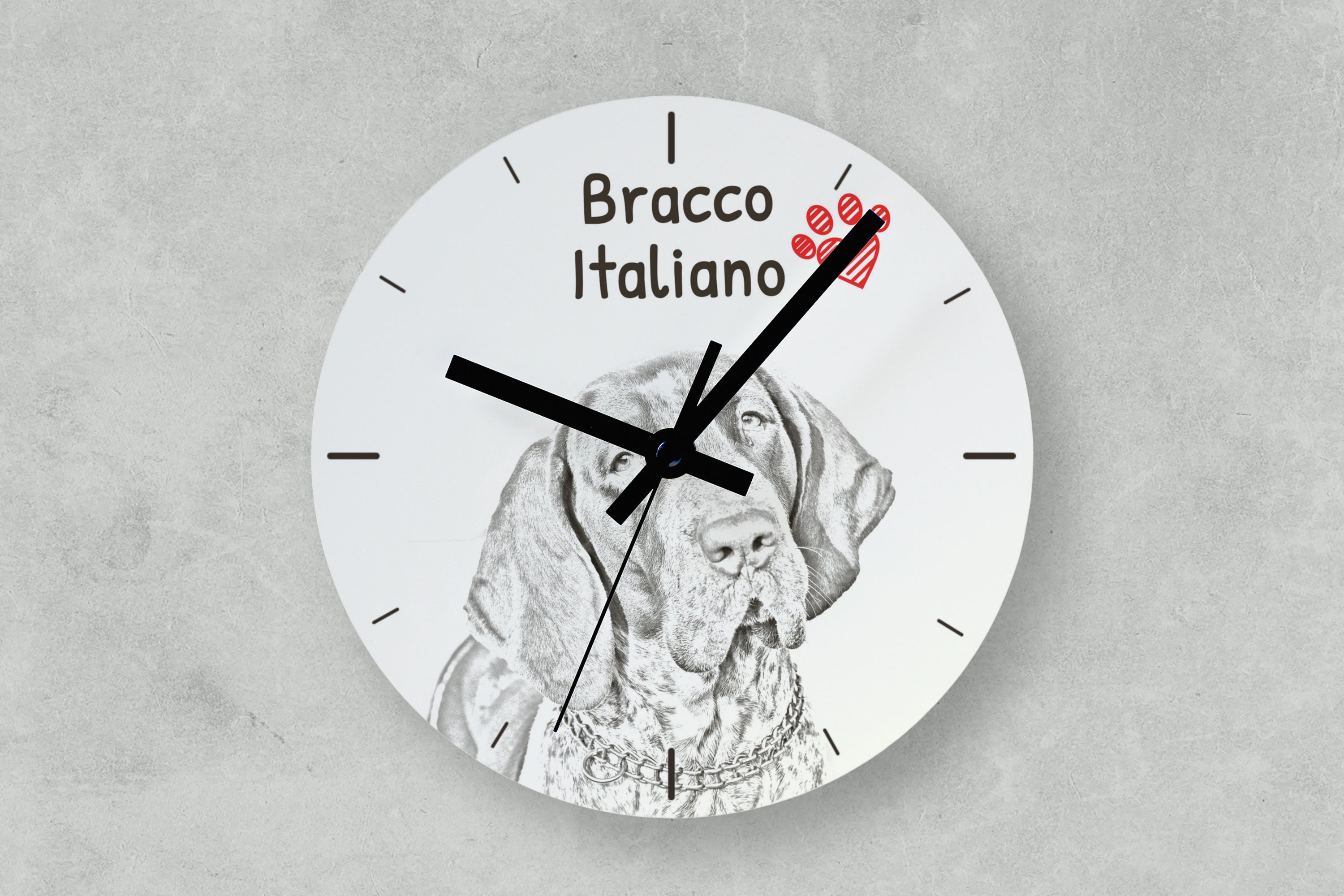 Italian Pointing Dog, Bracco Italiano, Italian Pointer - wall clock with a dog, shelf clock with a print, personalized home decoration from the Art-Dog brand