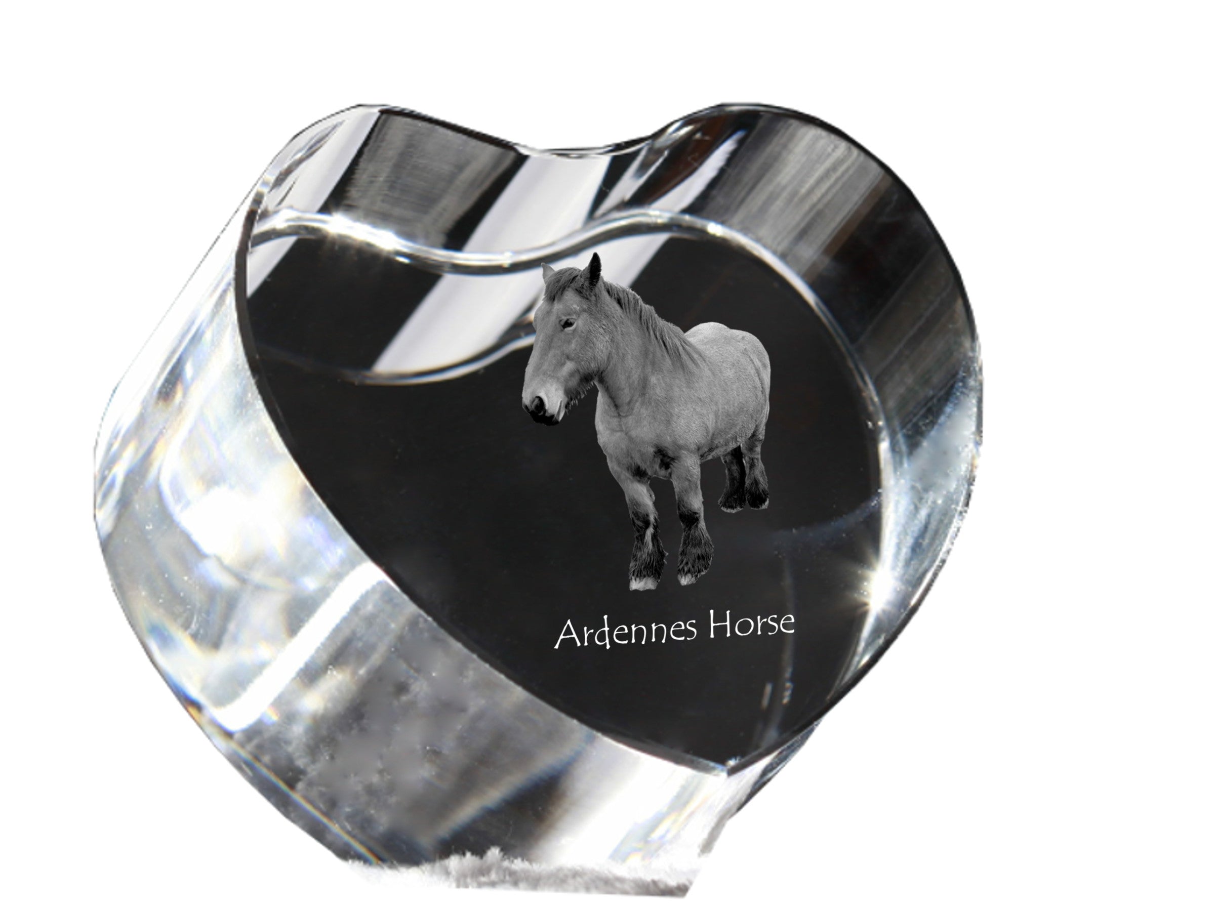 Ardennes Horse - a photo of a horse in crystal, a crystal heart, a unique frame with a photo from the Art-Dog brand