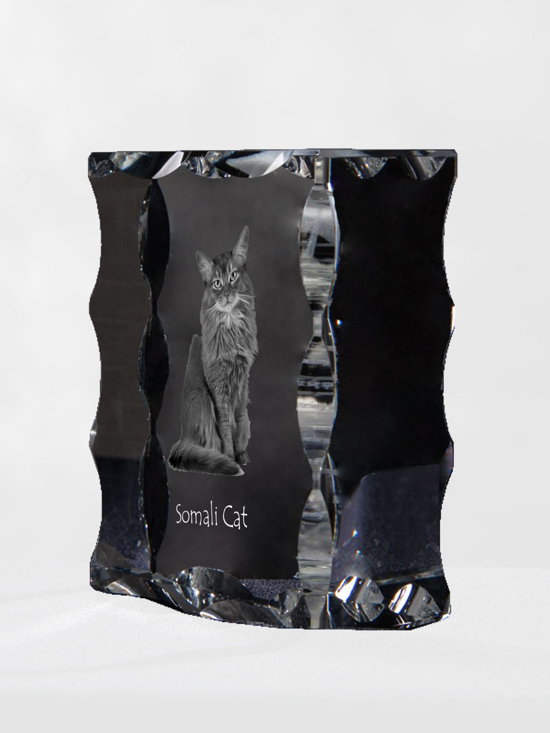 Somali - crystal with a cat picture, glass statuette with a picture, unique frame with a picture from Art-Dog brand