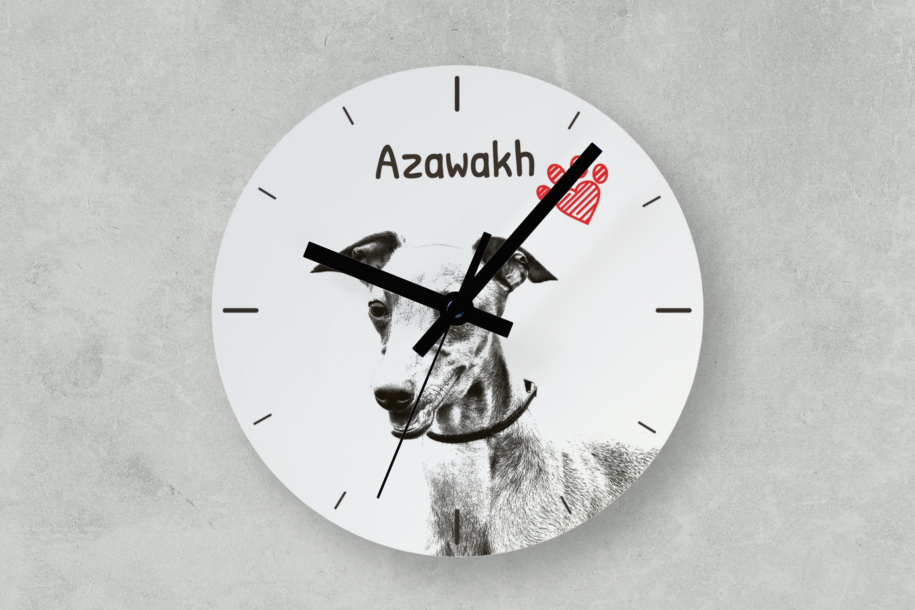Azawakh, Tuareg Sloughi - wall clock with a dog, shelf clock with a print, personalized home decoration from the Art-Dog brand