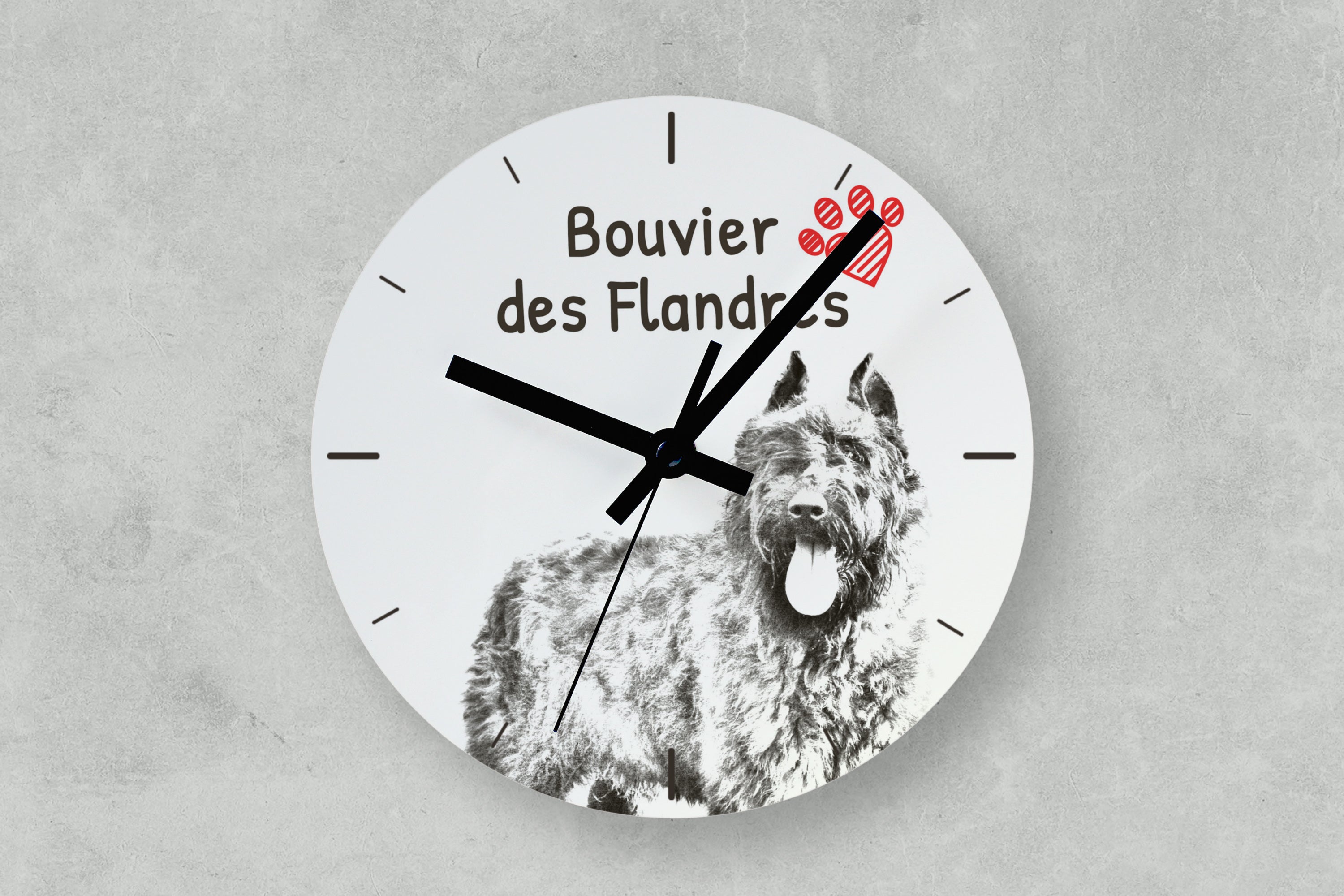 Bouvier des Flandres, Flanders Cattle Dog - wall clock with a dog, shelf clock with a print, personalized home decoration from the Art-Dog brand