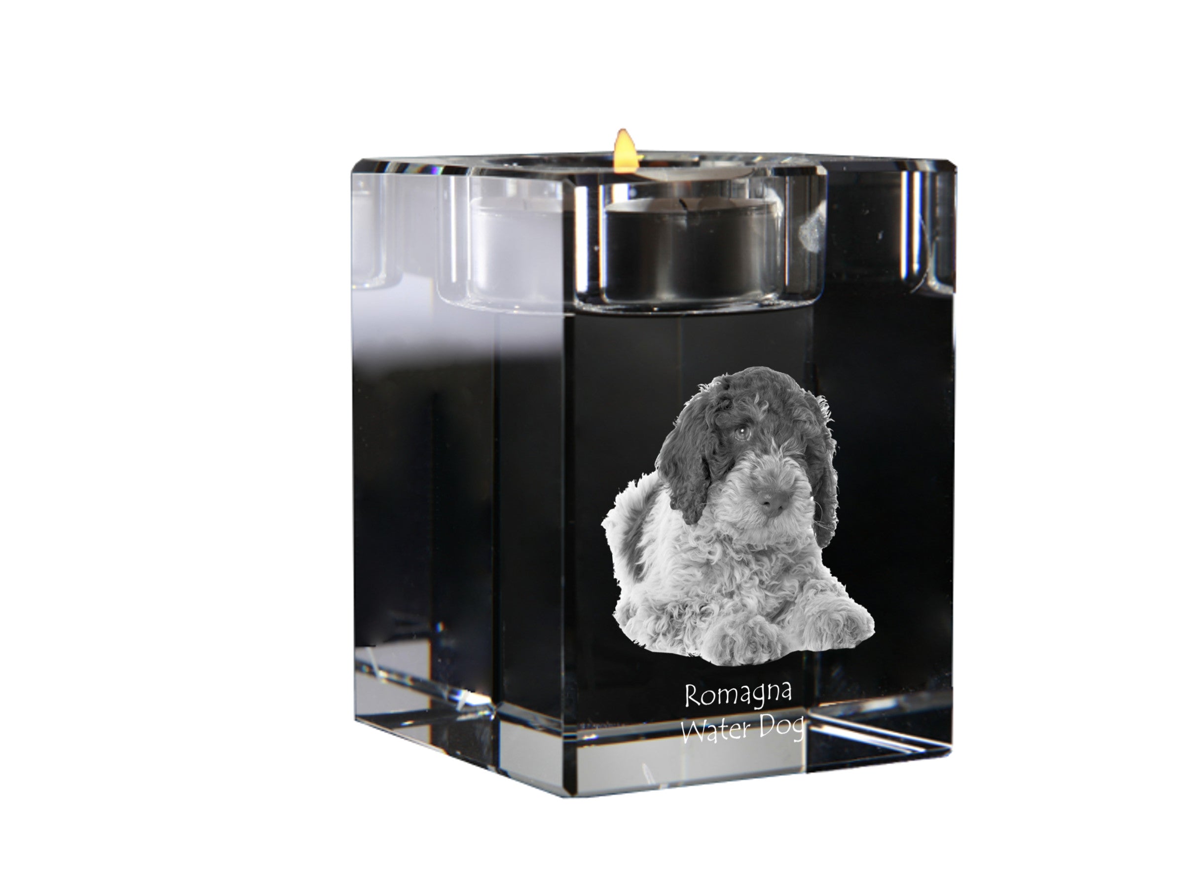 Romagna Water Dog - Candle holder with dog photo, crystal tealight holder, personalised gift by Art-Dog brand