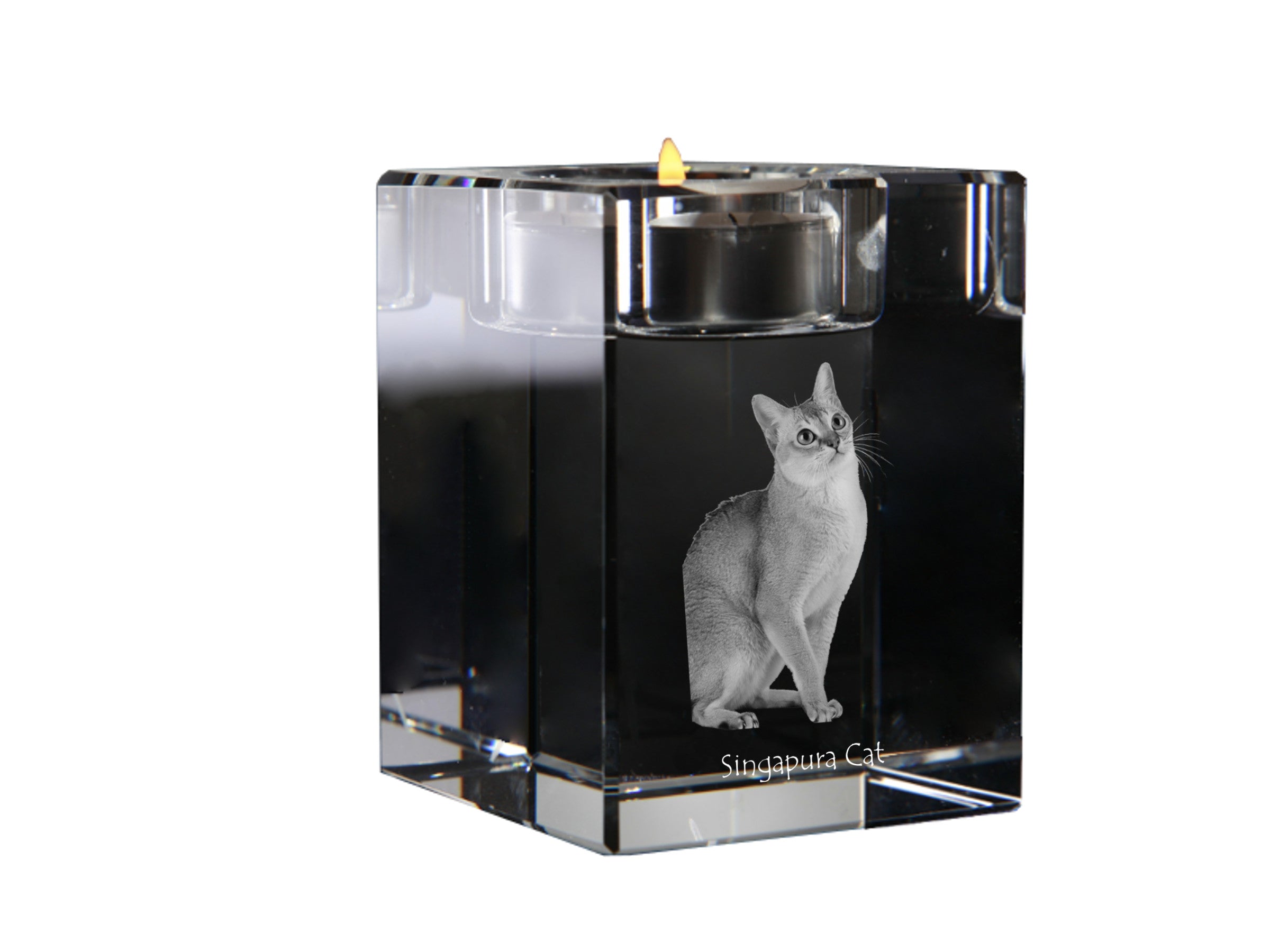 Singapura - Candle holder with cat photo, crystal tealight holder, personalised gift by Art-Dog brand