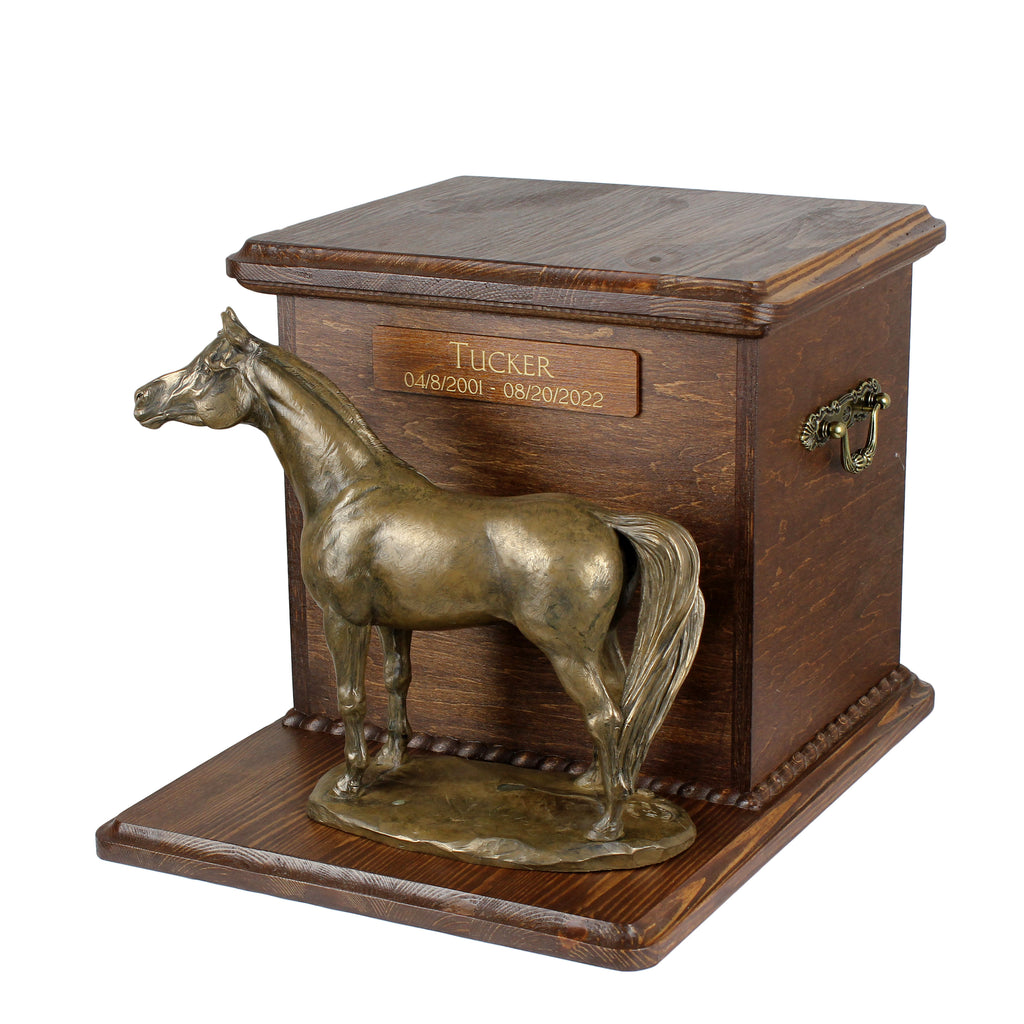 Australian Stock Horse - urn for horse ashes with a statuette, personalized urn with engraving, large box for horse ashes from the Art-Dog brand