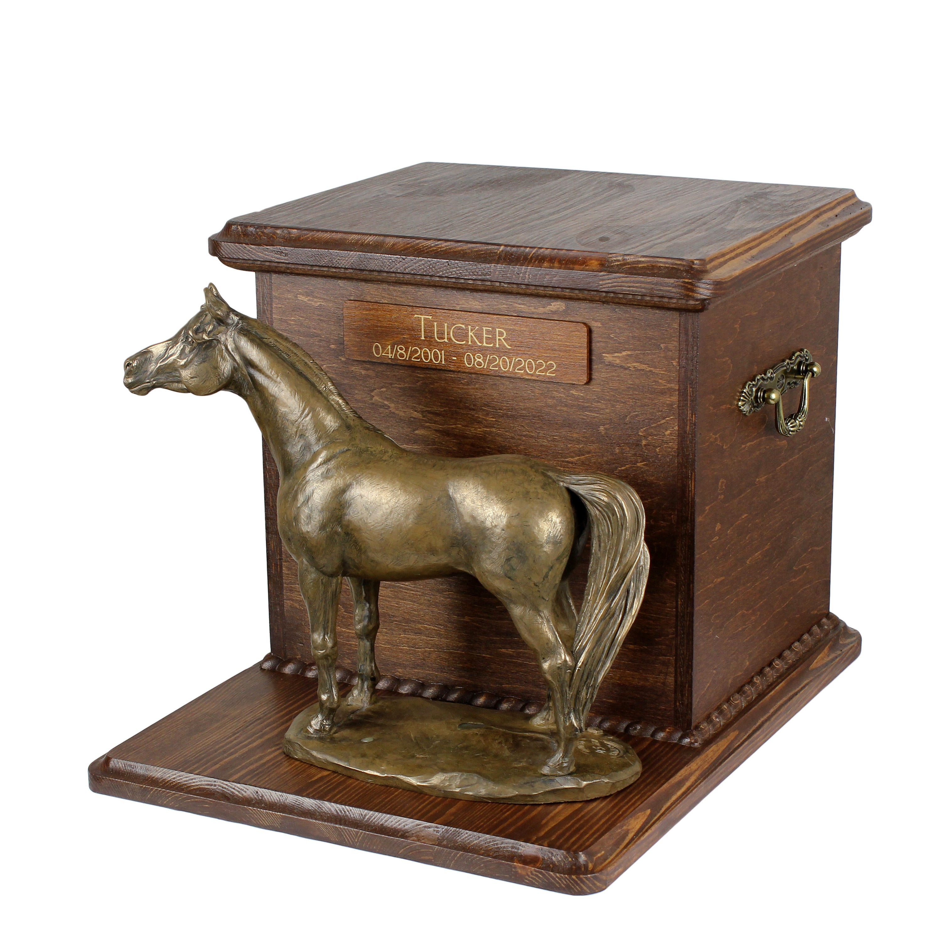 Australian Stock Horse - urn for horse ashes with a statuette, personalized urn with engraving, large box for horse ashes from the Art-Dog brand