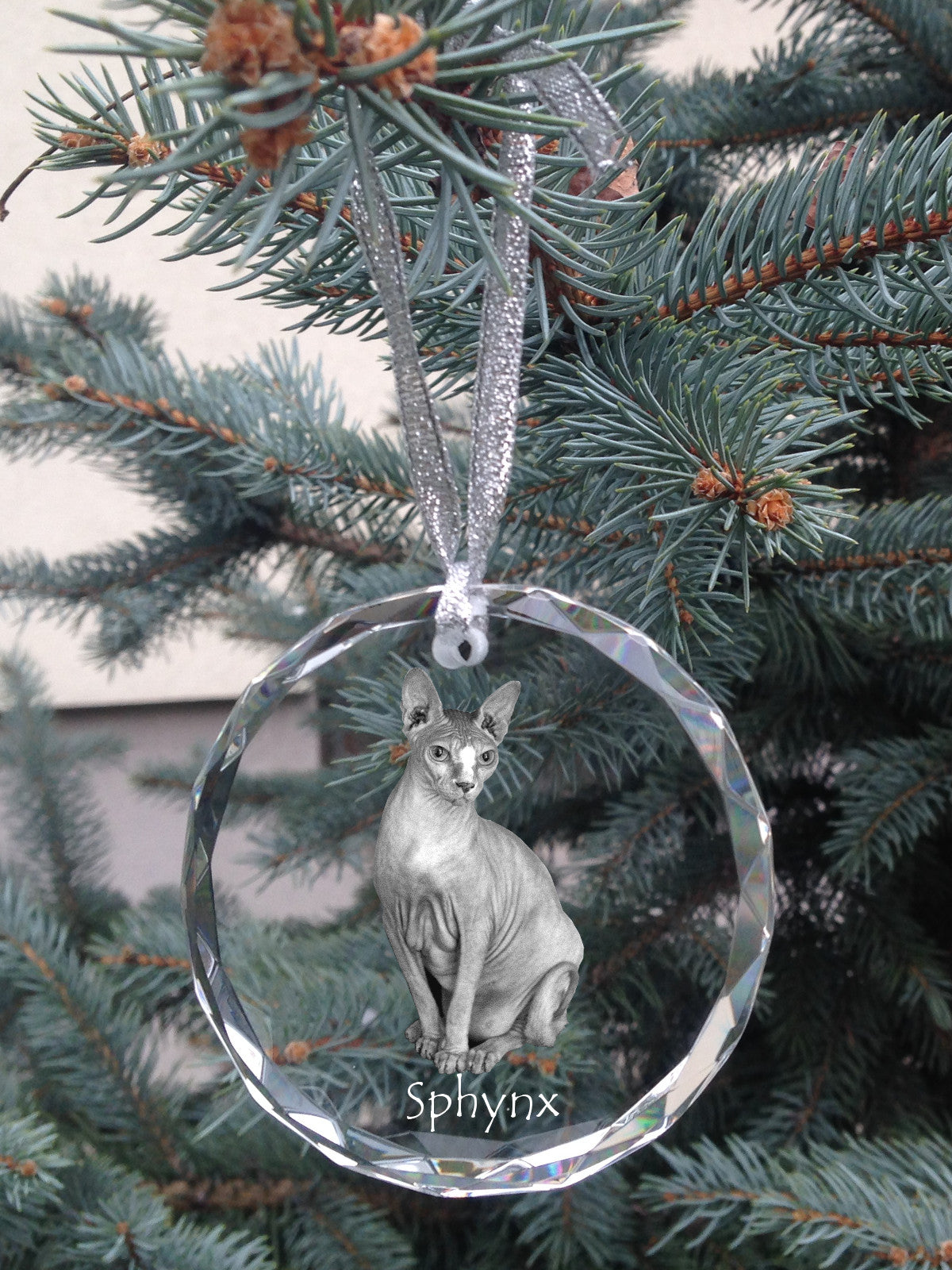 Sphynx - crystal bauble with a photo, photo of a cat in crystal, personalized Christmas tree ornament by Art-Dog brand