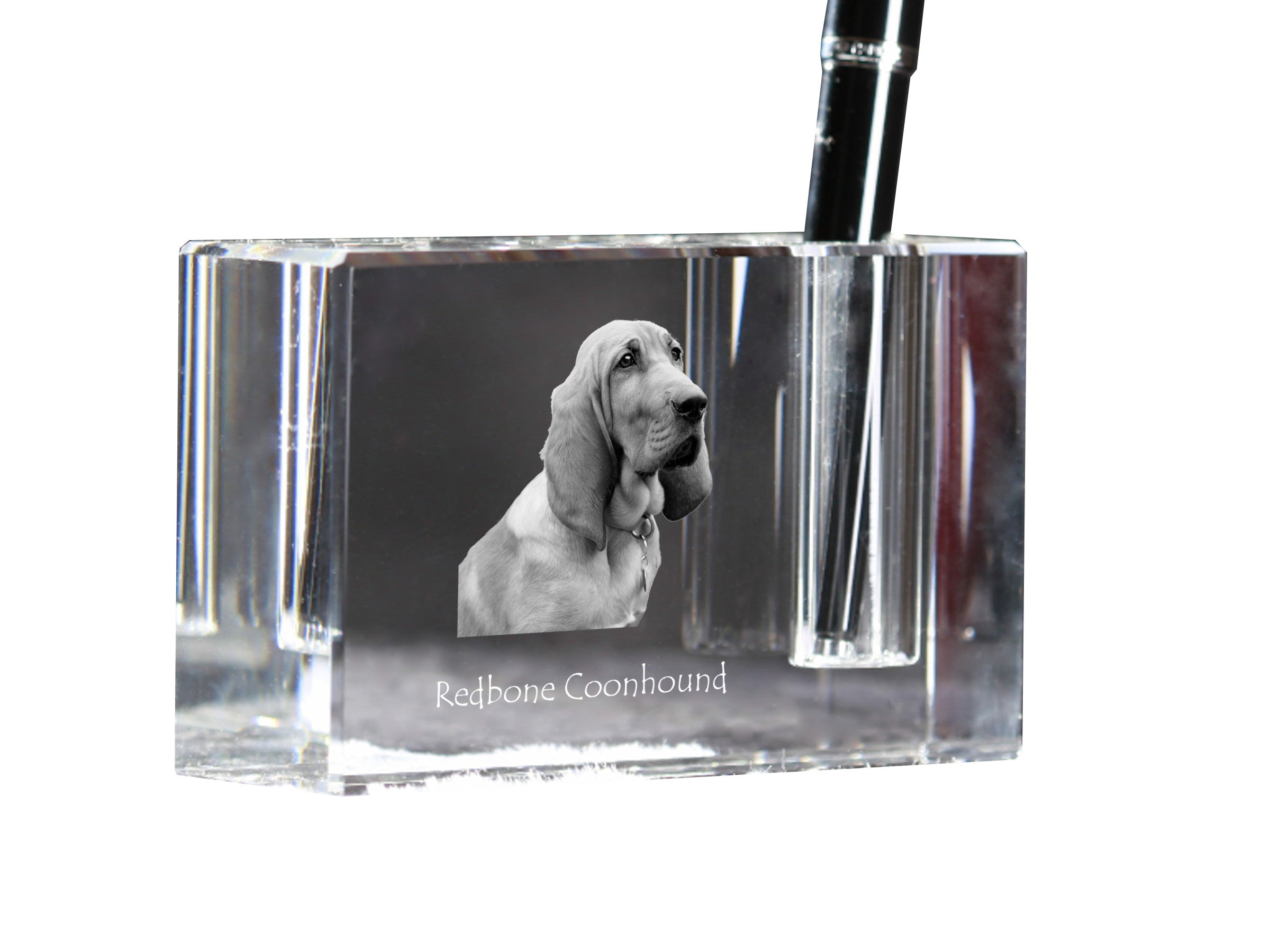 Redbone Coonhound - Pen stand, crystal organiser with dog photo, unique desk decoration by Art-Dog brand