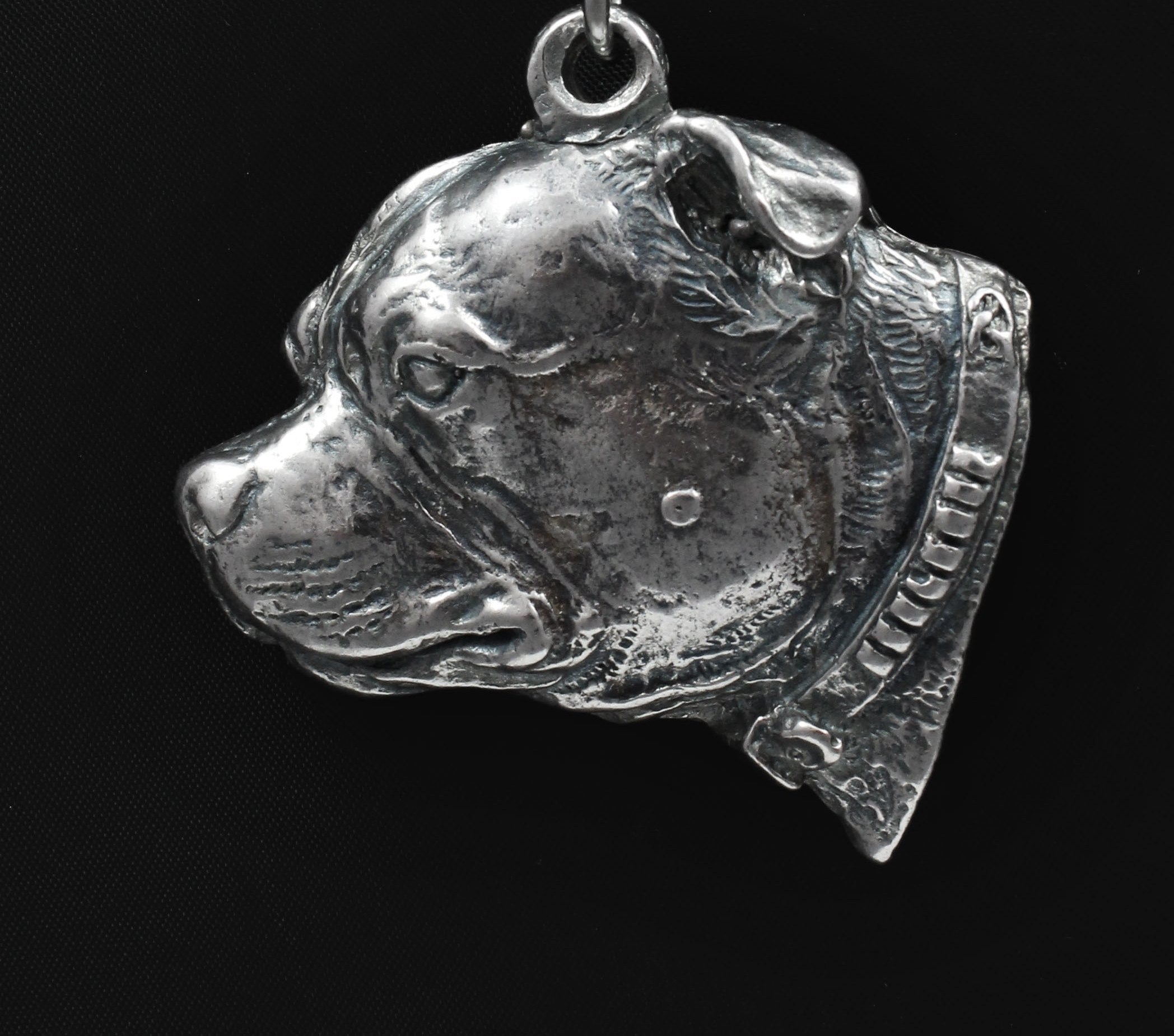 Staffordshire Bull Terrier, Staffy III - Necklace with dog, silver-plated pendant for dog fan, unique jewelry by Art-Dog brand