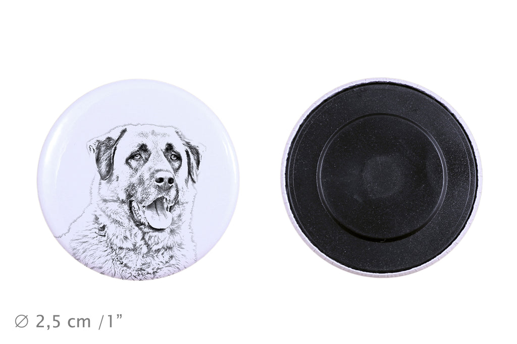 Anatolian Shepherd Dog, Turkish Kangal Dog - magnet with a dog's pupil, exceptionally light, strong magnet, handmade product by the Art-Dog brand