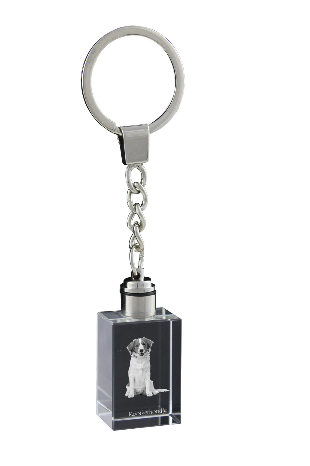 Kooikerhondje - Crystal key ring with dog photo, illuminated key ring, unique gift by Art-Dog brand