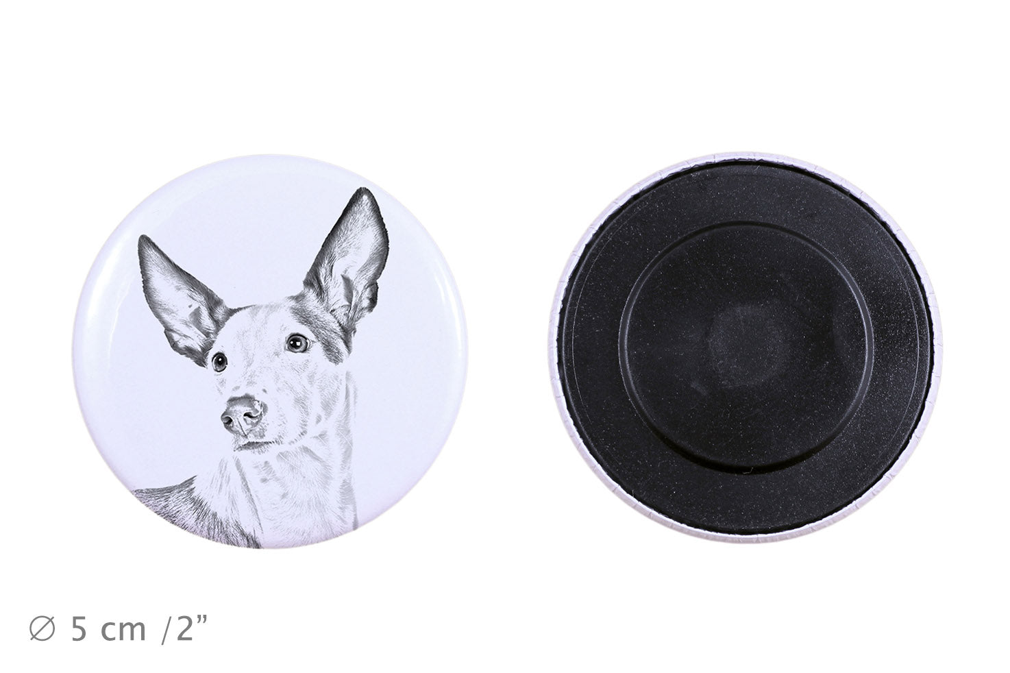 Ibizan Hound, Ibizan Podenco, Ibizan Warren Hound - magnet with a dog's pupil, exceptionally light, strong magnet, handmade product by the Art-Dog brand