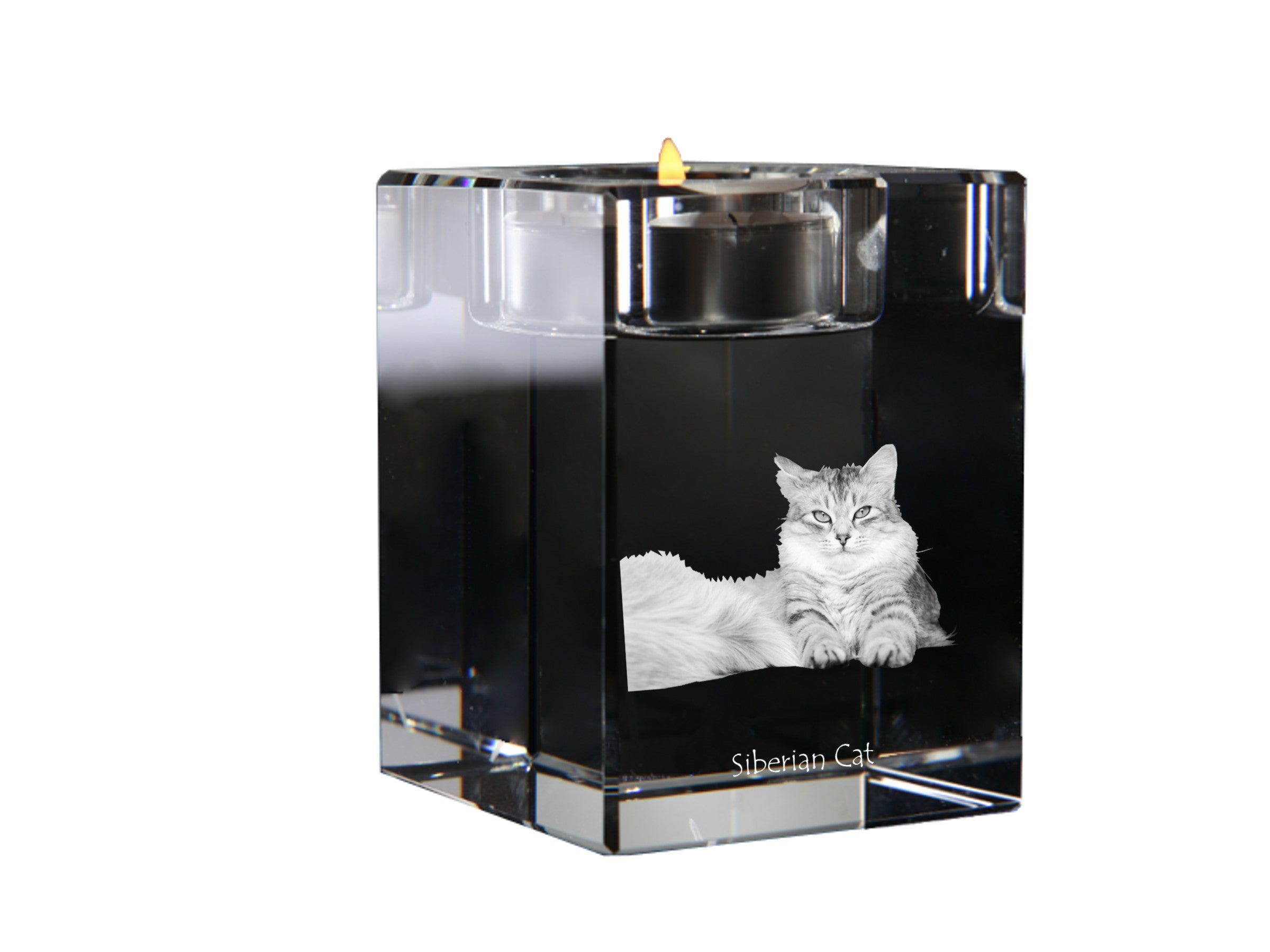Siberian - Candle holder with cat photo, crystal tealight holder, personalised gift by Art-Dog brand