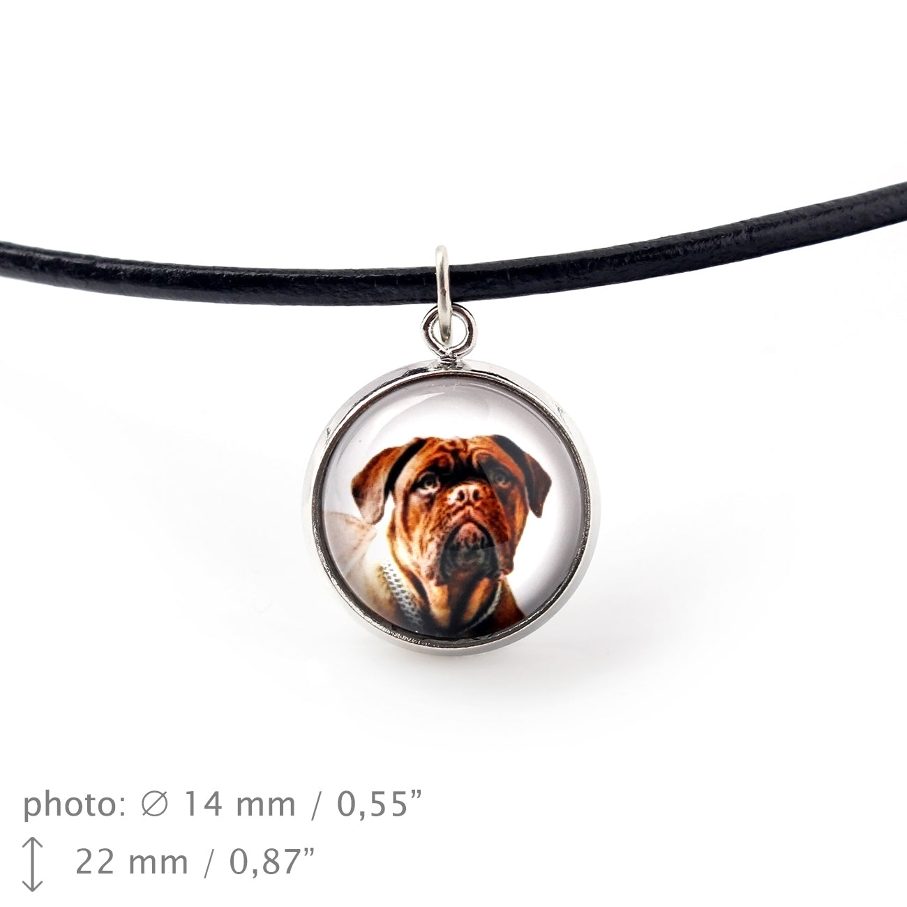 Dogue de Bordeaux, French Mastiff, Bordeauxdog - jewelry with your photo box, set of necklace and earrings, personalized products from the Art-Dog brand