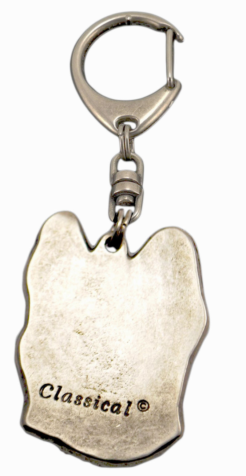 Briard, Berger de Brie - Silver-plated key ring with a dog in a gift box, handbag decoration, backpack pendant by Art-Dog brand