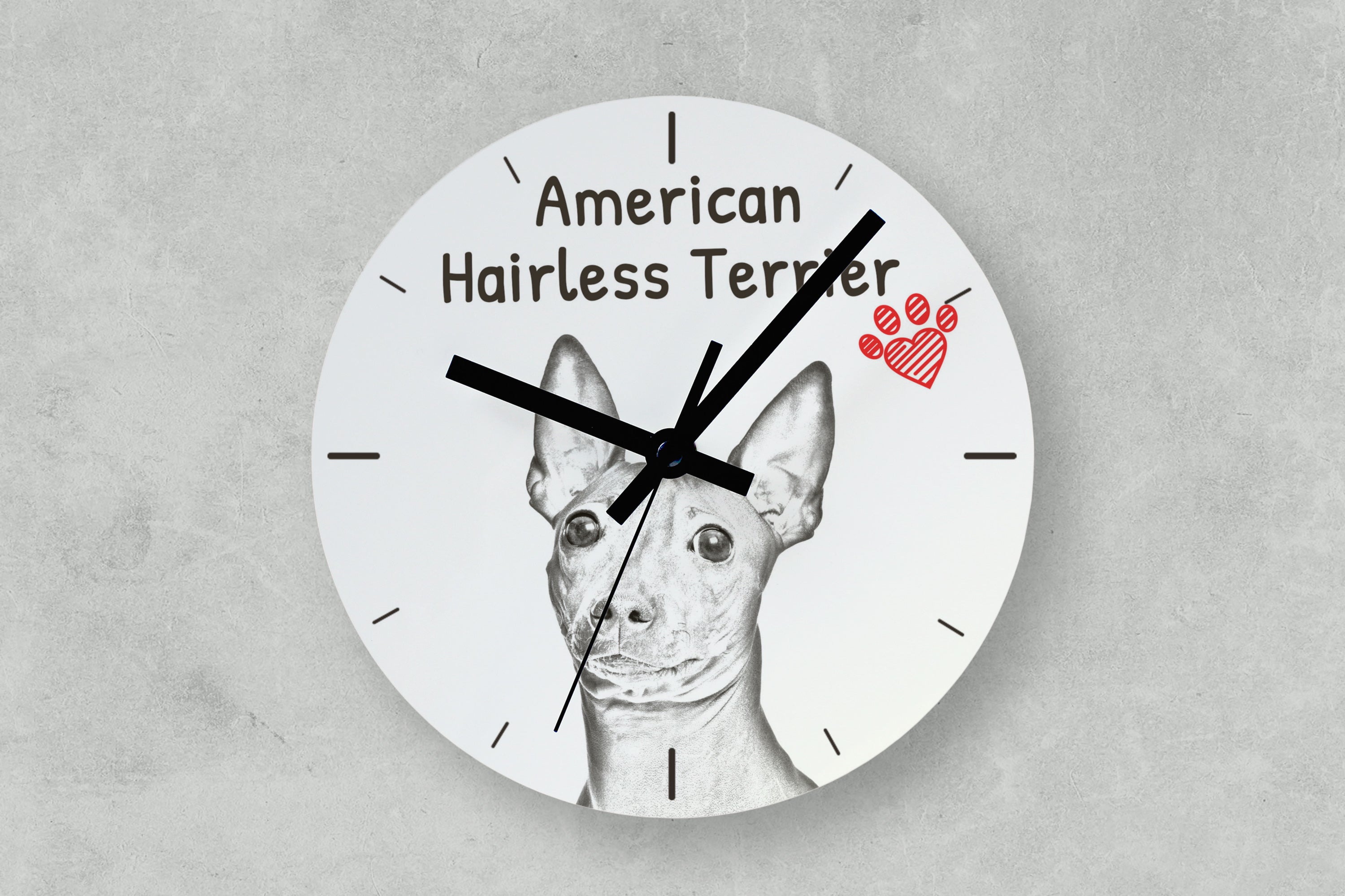 American Hairless Terrier - wall clock with a dog, shelf clock with a print, personalized home decoration from the Art-Dog brand