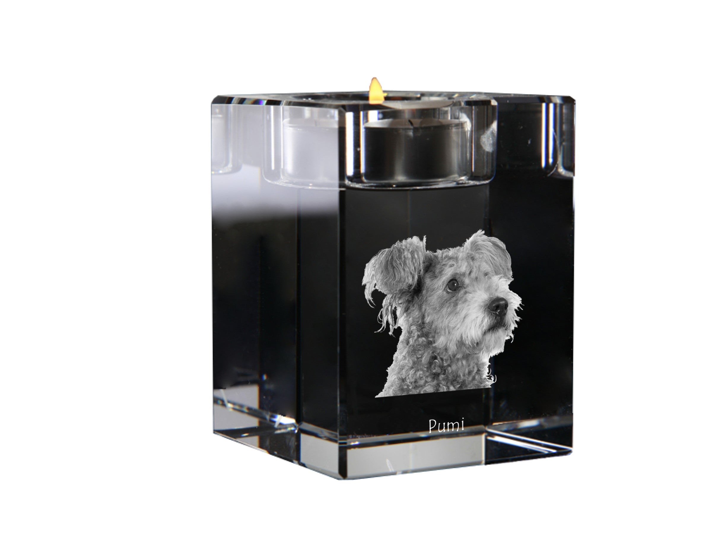 Pumi, Hungarian Pumi, Hungarian herding terrier - Candle holder with dog photo, crystal tealight holder, personalised gift by Art-Dog brand