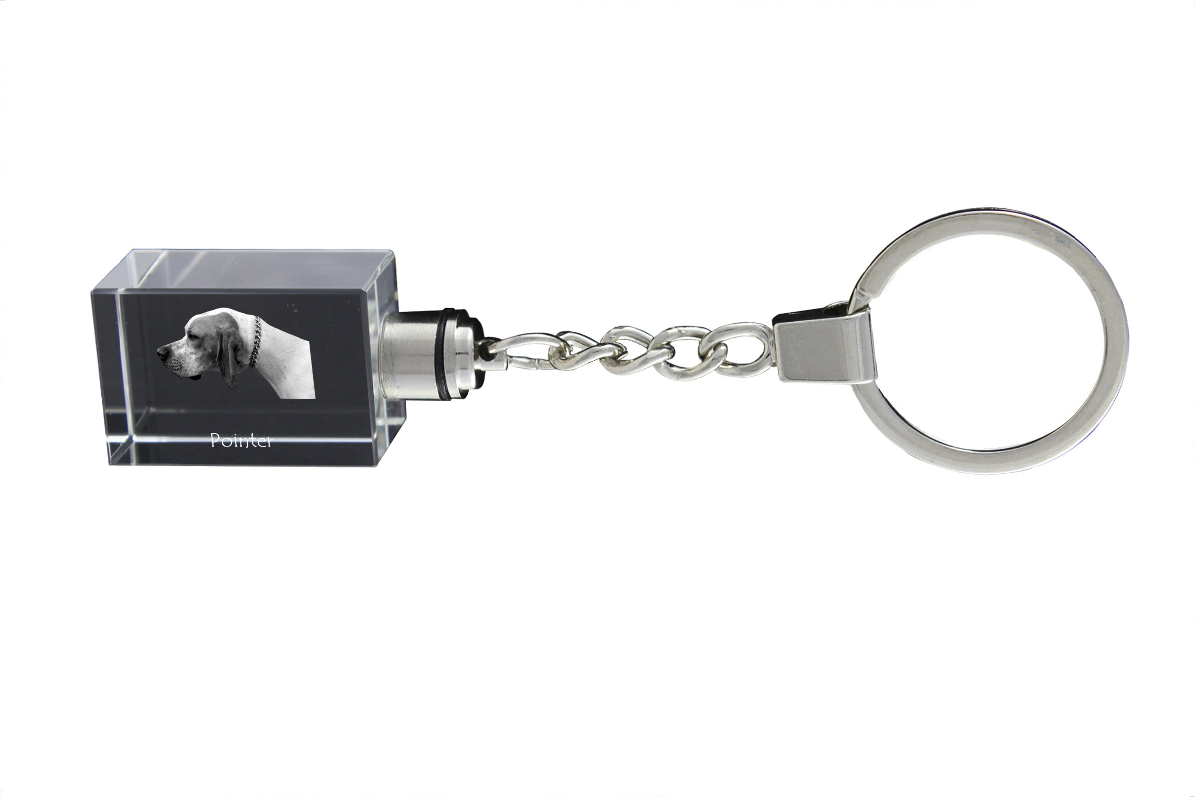 English Pointer I - Crystal key ring with dog photo, illuminated key ring, unique gift by Art-Dog brand