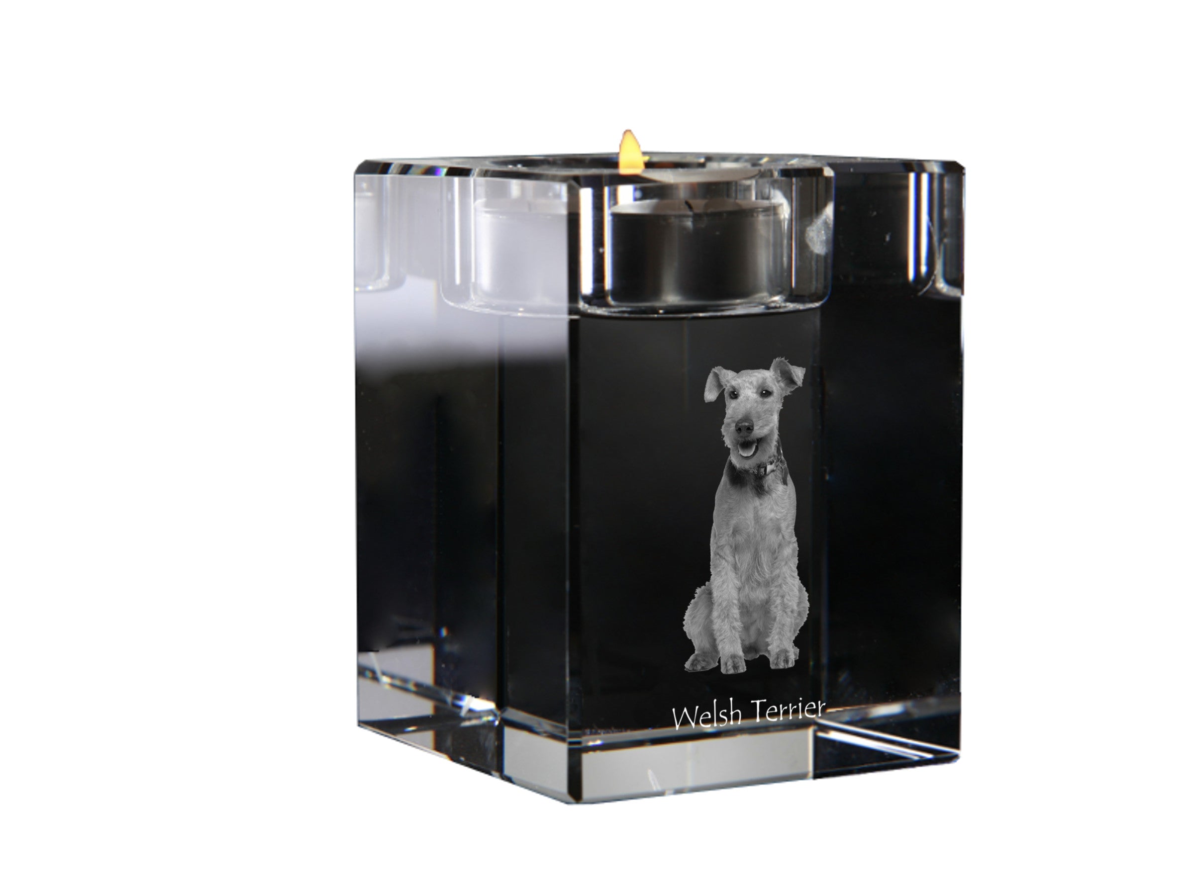 Welsh Terrier, Welshie, Daeargi Cymreig - Candle holder with dog photo, crystal tealight holder, personalised gift by Art-Dog brand