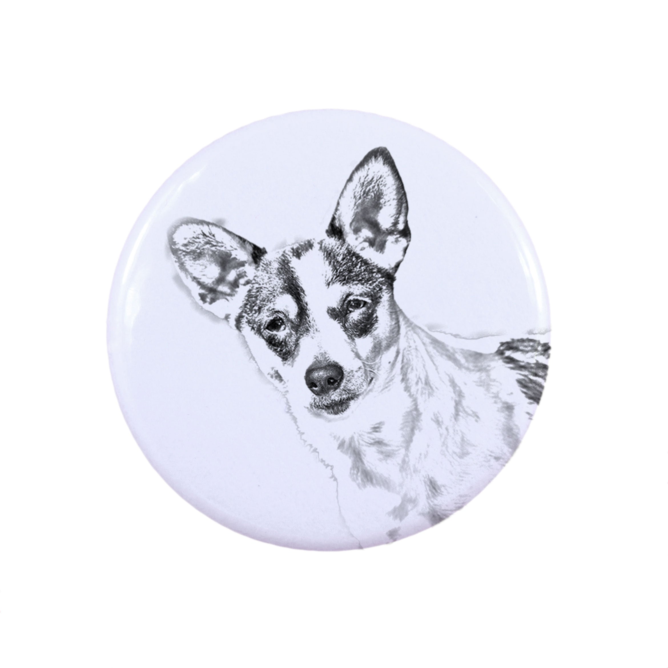 Rat Terrier, Ratting Terrier, Decker Giant - pin with your dog, add your own photo, Art-Dog brand