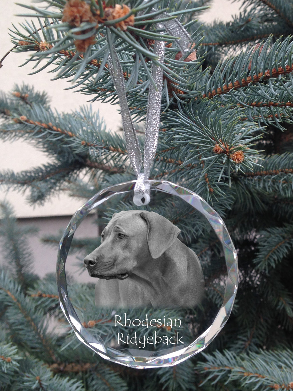 Rhodesian Ridgeback, African Lionhound, African Lion Dog - crystal bauble with a photo, dog photo in crystal, personalized Christmas tree ornament by Art-Dog brand