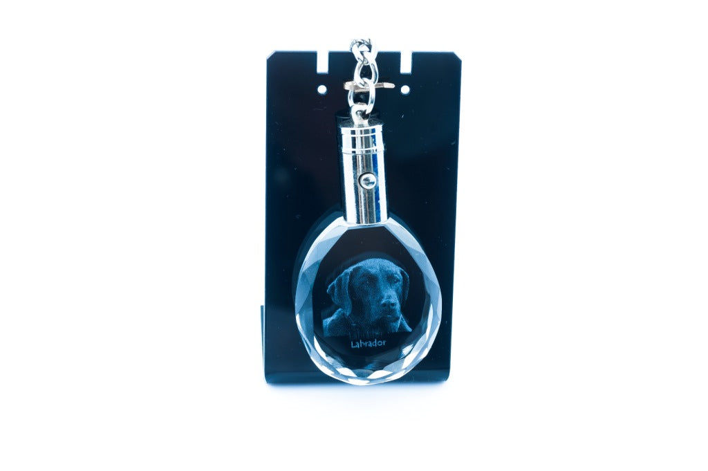 Labrador Retriever - pendant with a photo of a dog, crystal key ring in a gift box, a unique gift by Art-Dog