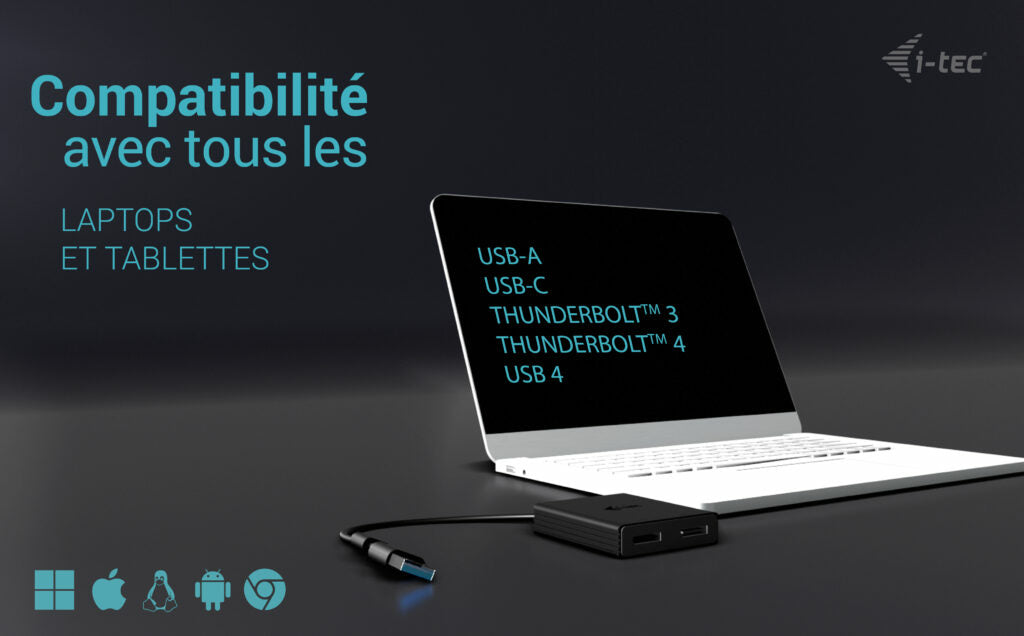 i-tec Adaptateur Vidéo Dual DisplayPort USB-A/USB-C 4K 60Hz