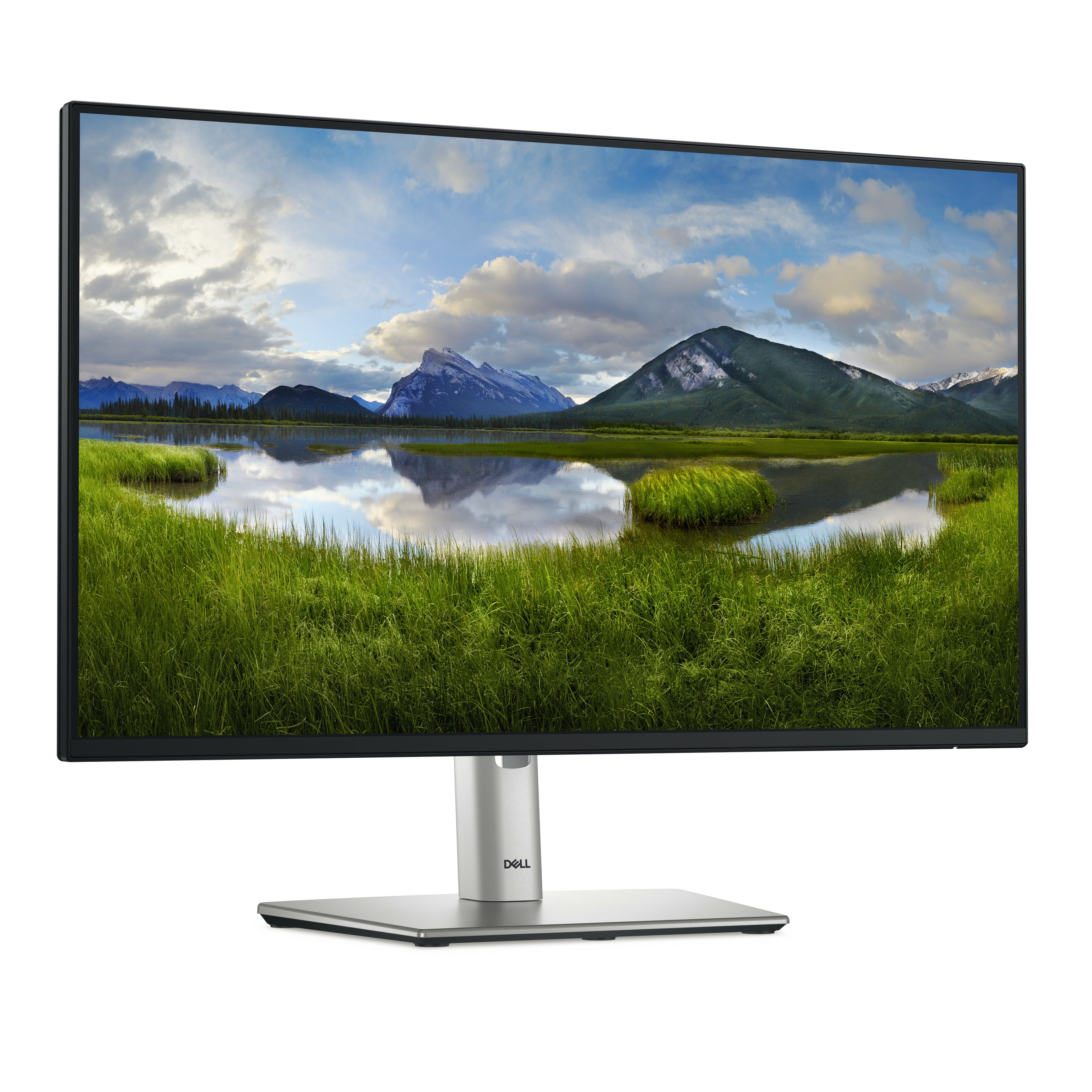 DELL Pro Plus P2425HE écran plat de PC 60,5 cm (23.8") 1920 x 1080 pixels Full HD LCD Noir
