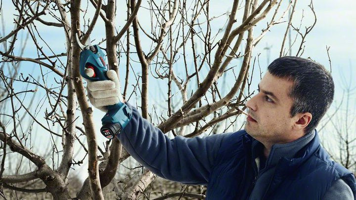 Bosch Bosch Pro Pruner Professional cisaille sans fil 2,5 cm 12 V Lithium-Ion (Li-Ion) Bleu