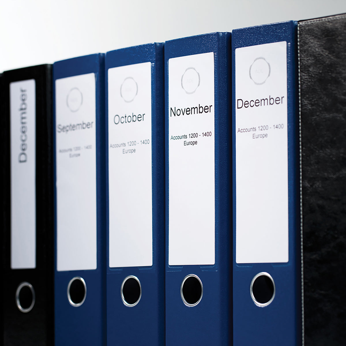 DYMO LW Étiquettes Autocollantes pour Classeurs à Levier, 59 mm x 190 mm, Rouleau de 110 Étiquettes