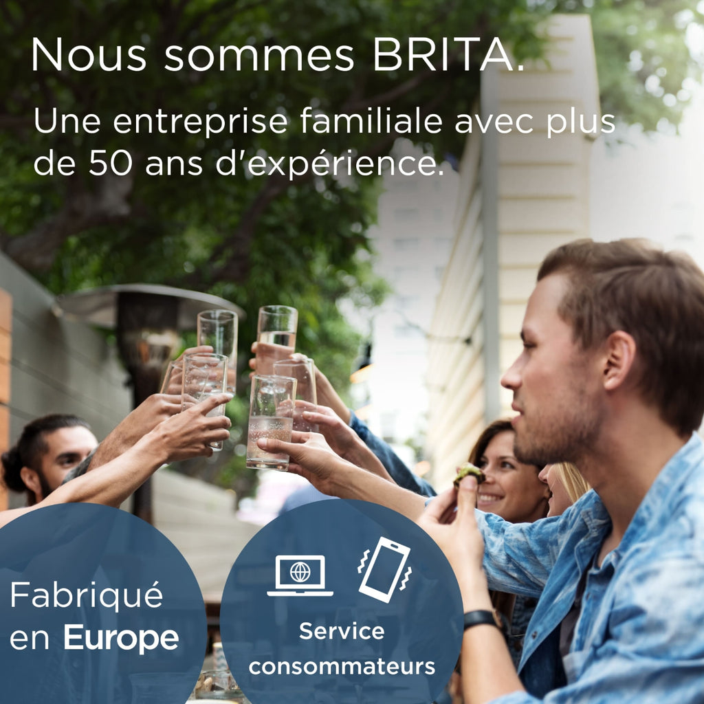 Brita Cartouche filtrante MAXTRA PRO Pure Performance