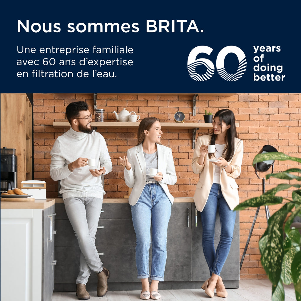 Brita Cartouche filtrante MAXTRA PRO Expert Anti-Tartre