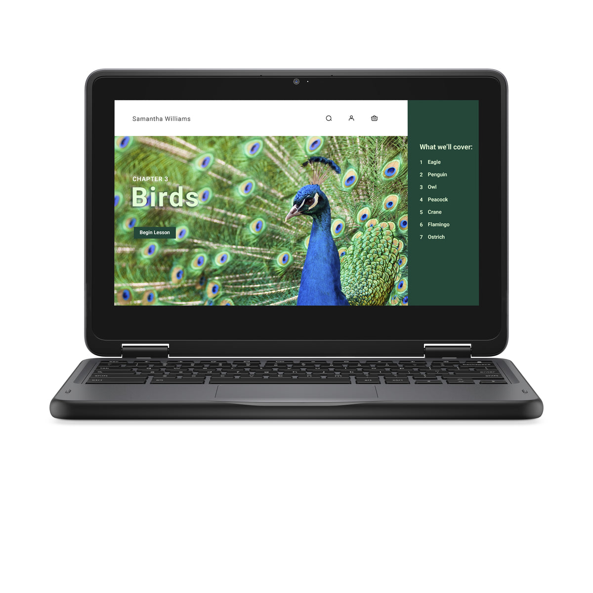 DELL Chromebook 3120 2-in-1, Intel N100, 11.6" Écran Tactile HD, 4 Go LPDDR5, 64 Go eMMC, Wi-Fi 6, ChromeOS, Noir