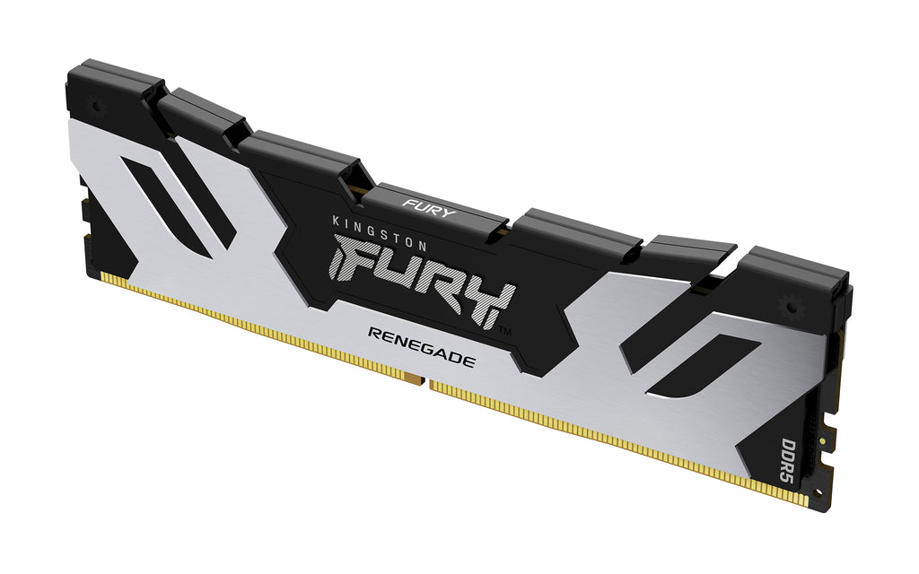 Kingston Technology FURY 32 Go 6400 MT/s DDR5 CL32 DIMM Renegade Silver XMP